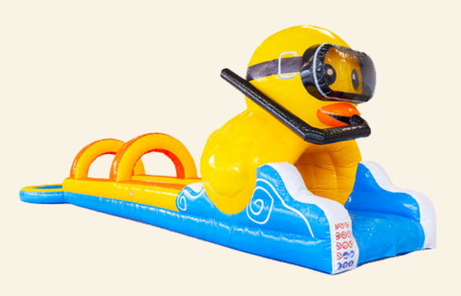 Ventrigliss Canard - Miniature 2