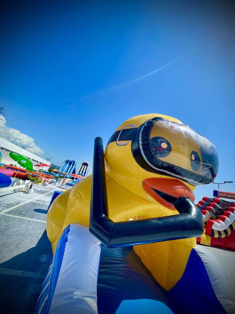 Ventrigliss Canard