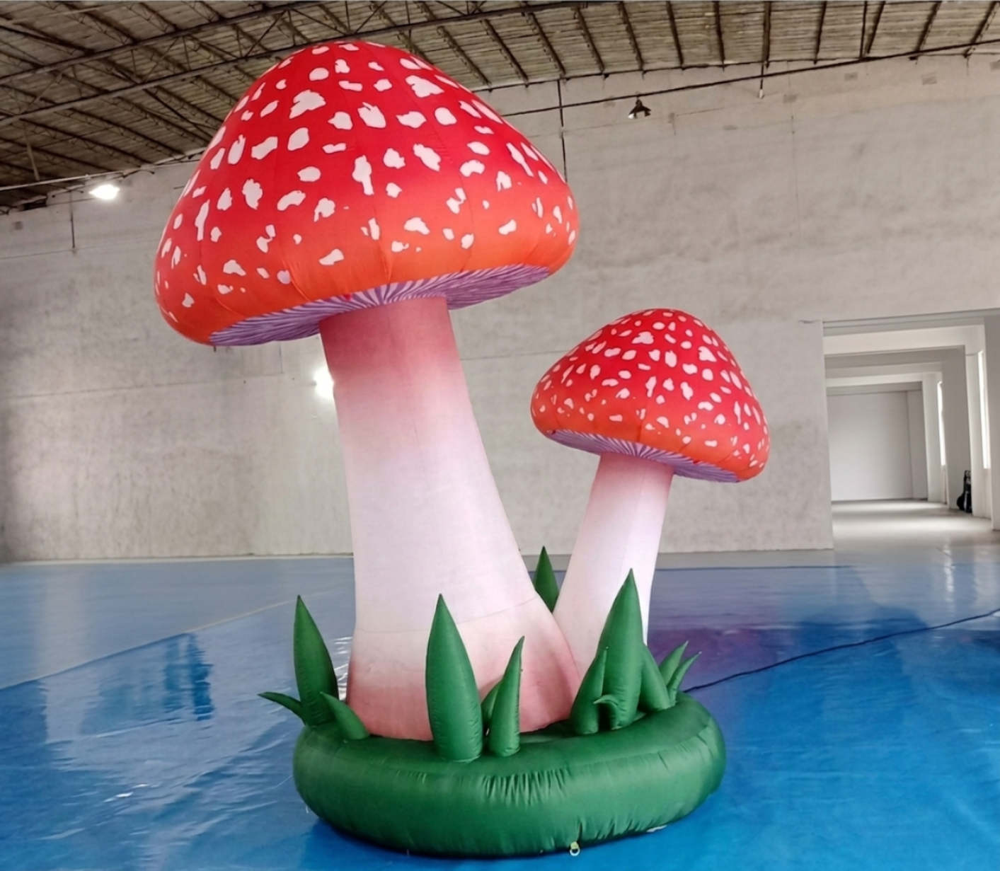 Champignons XXl - Miniature 2