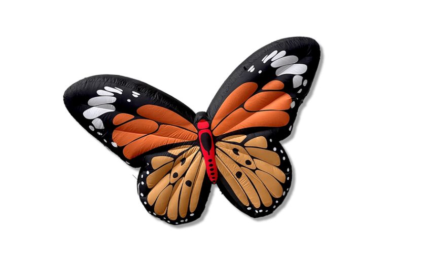 Papillon XXl - Miniature 2